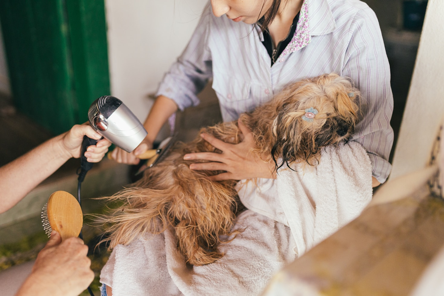 Wellness Benefits of a Grooming Routine